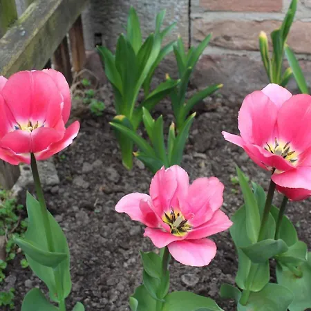 Am Burgenring - Kostenloser Parkplatz, Zentrum, Self Check-in, Kueche Casa de hóspedes *