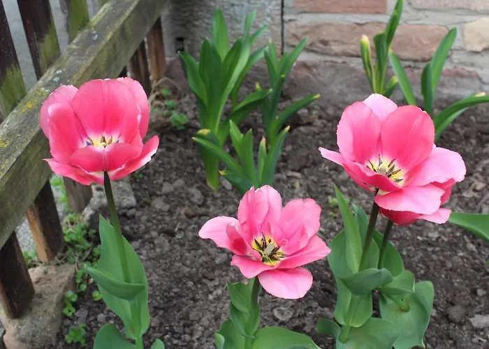 Am Burgenring - Kostenloser Parkplatz, Zentrum, Self Check-in, Kueche Vendégház *